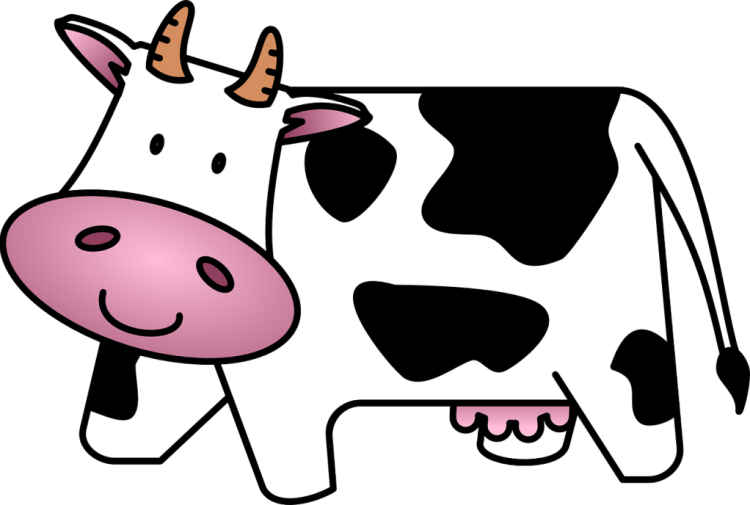 cow png